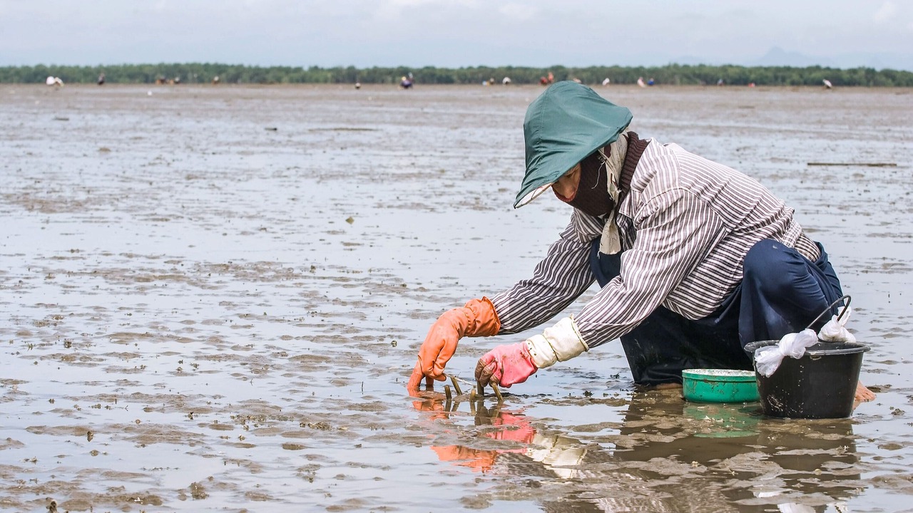 Photo of Others in Samut Songkhram