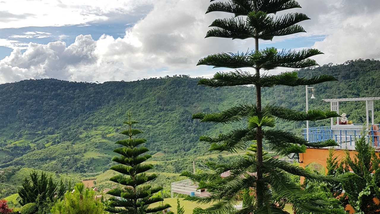 Photo of Others in Khao Kho