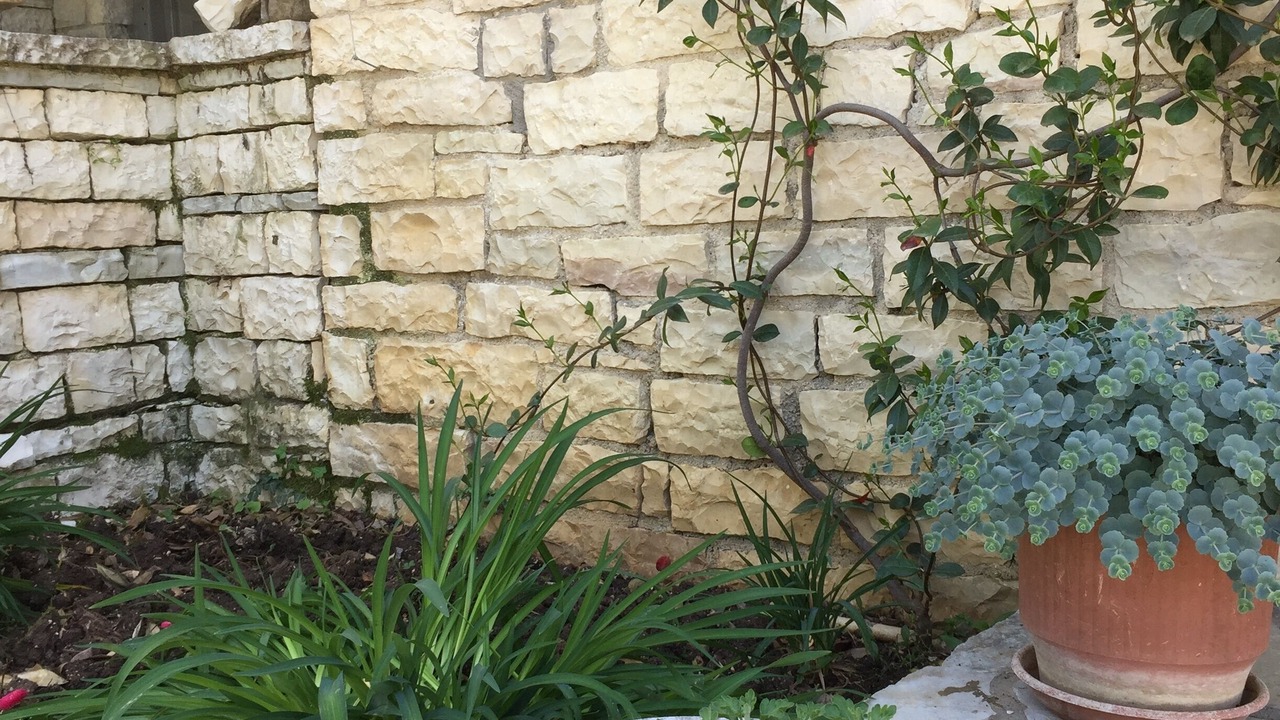 Photo of Outdoor in Aristi