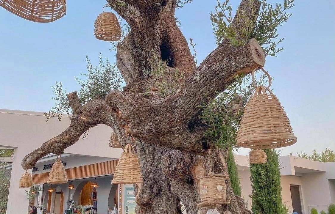 Photo of Outdoor in Tsilivi