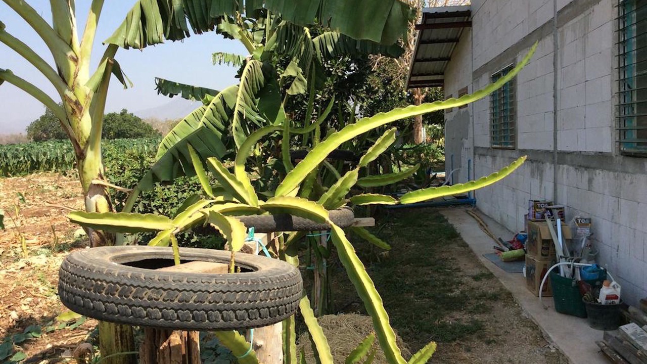 Photo of Outdoor in Kanchanaburi