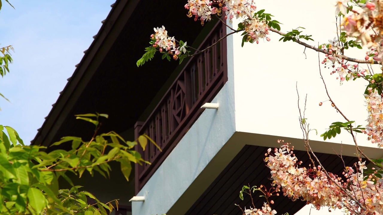 Photo of Outdoor in Chok Chai