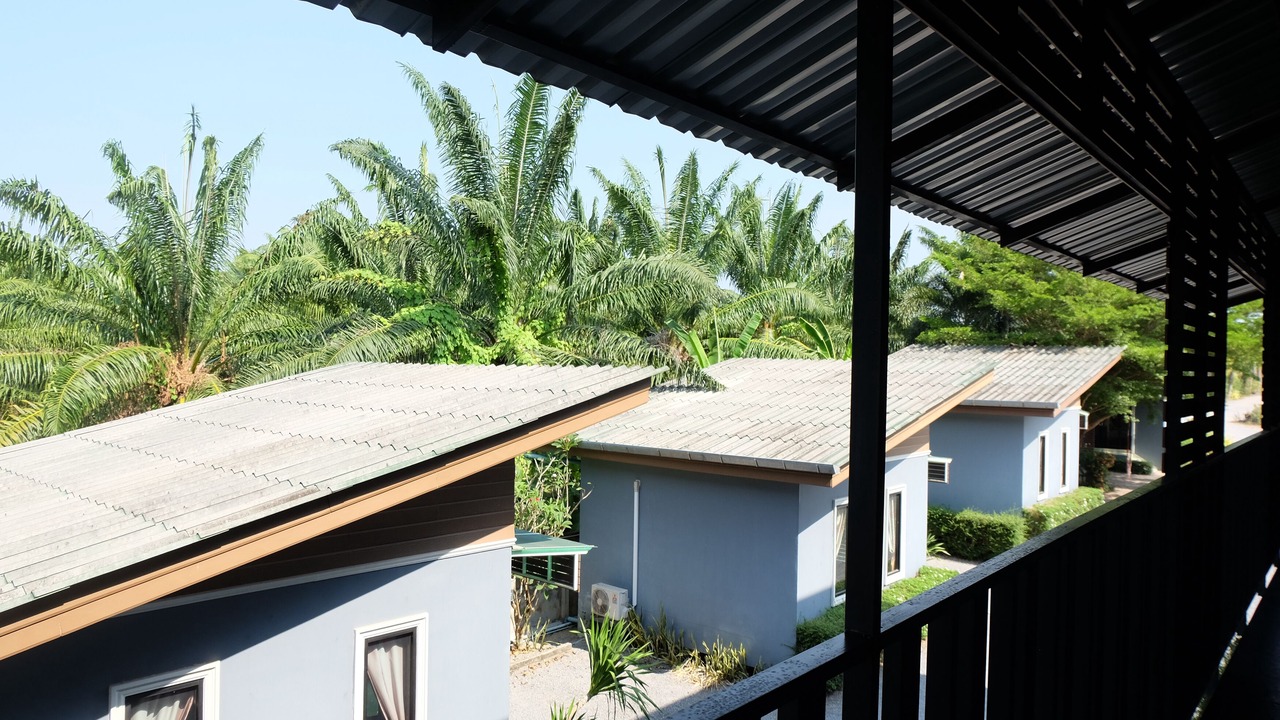 Photo of Outdoor in Krabi