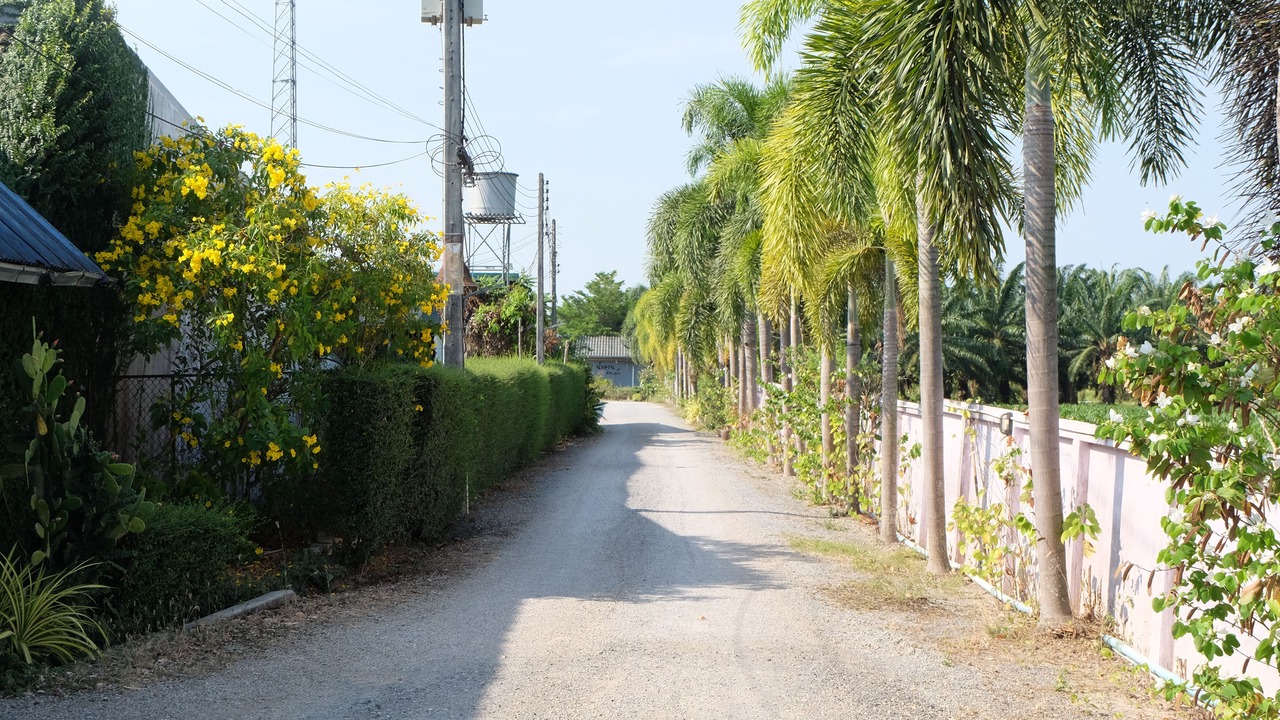 Photo of Outdoor in Krabi