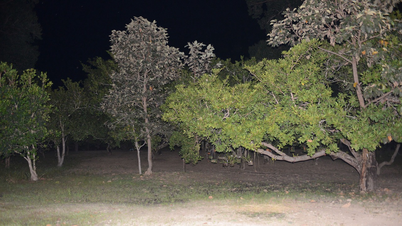 Photo of Outdoor in Prasat Sambour