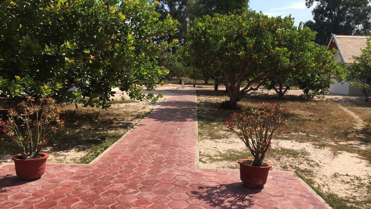 Photo of Outdoor in Prasat Sambour