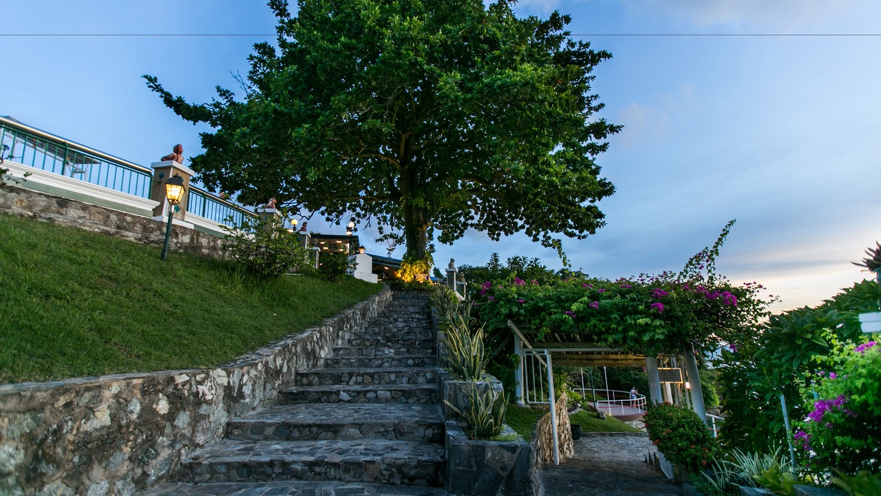 Photo of Others in Pratumnak Hill
