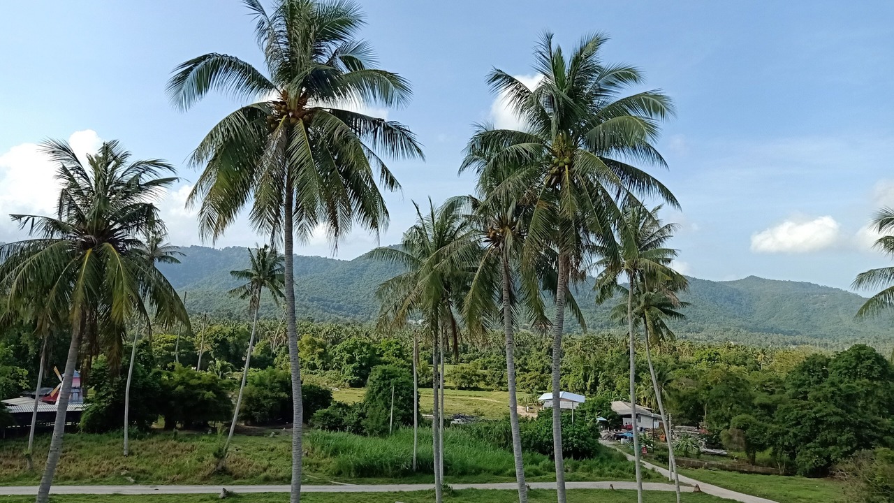 Photo of Outdoor in Mae Nam