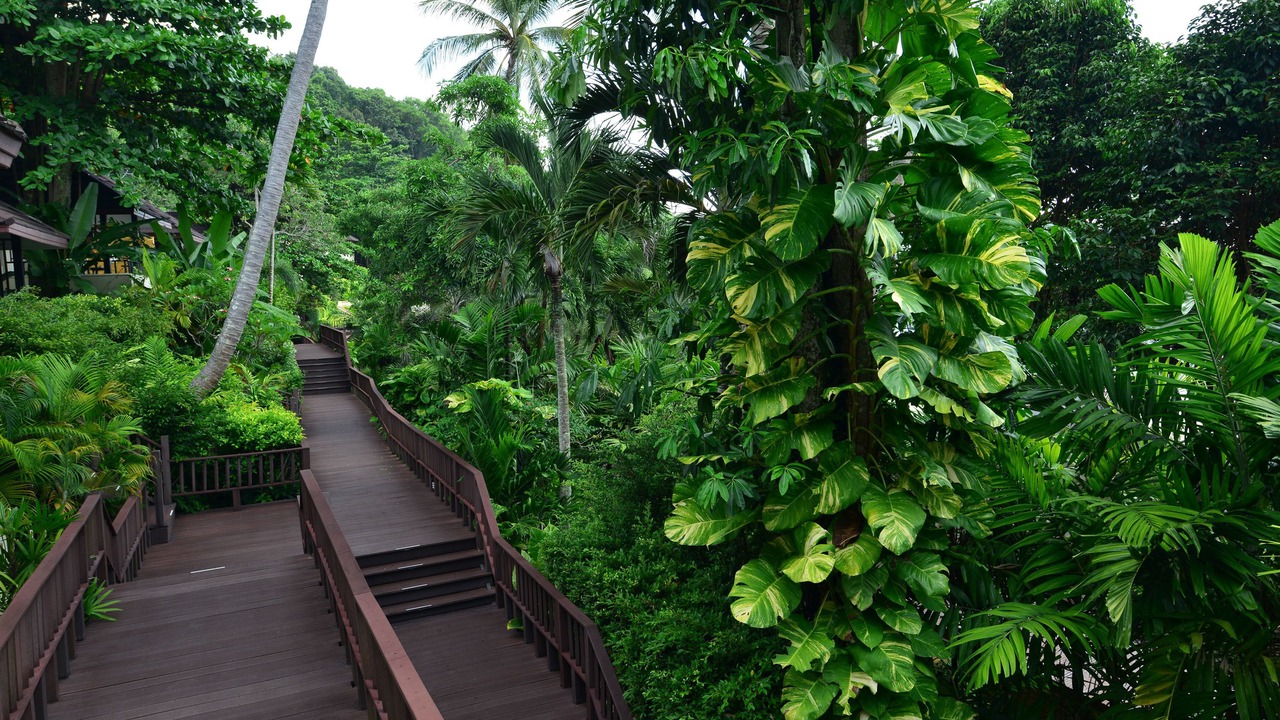 Photo of Outdoor in Sa Khu