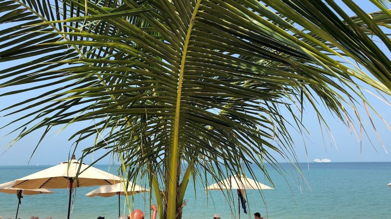 Photo of Others in Lipa Noi