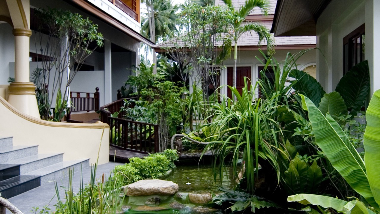 Photo of Outdoor in Lipa Noi