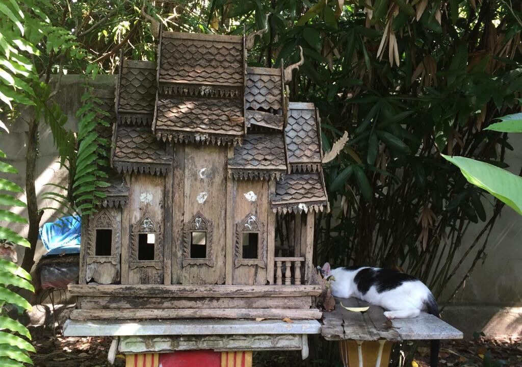 Photo of Outdoor in Chalong