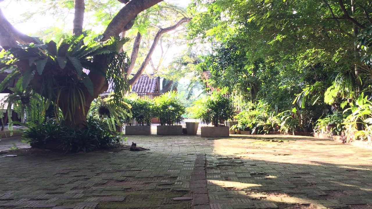 Photo of Outdoor in Chalong