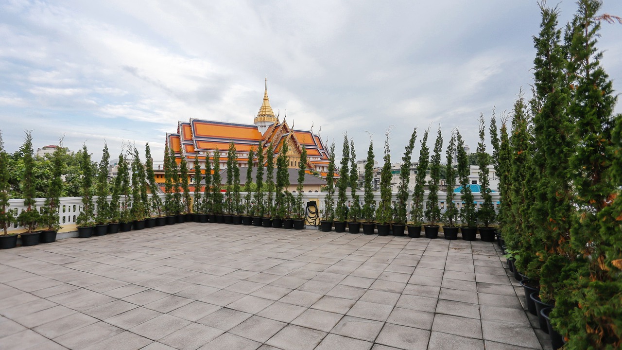 Photo of Outdoor in China Town