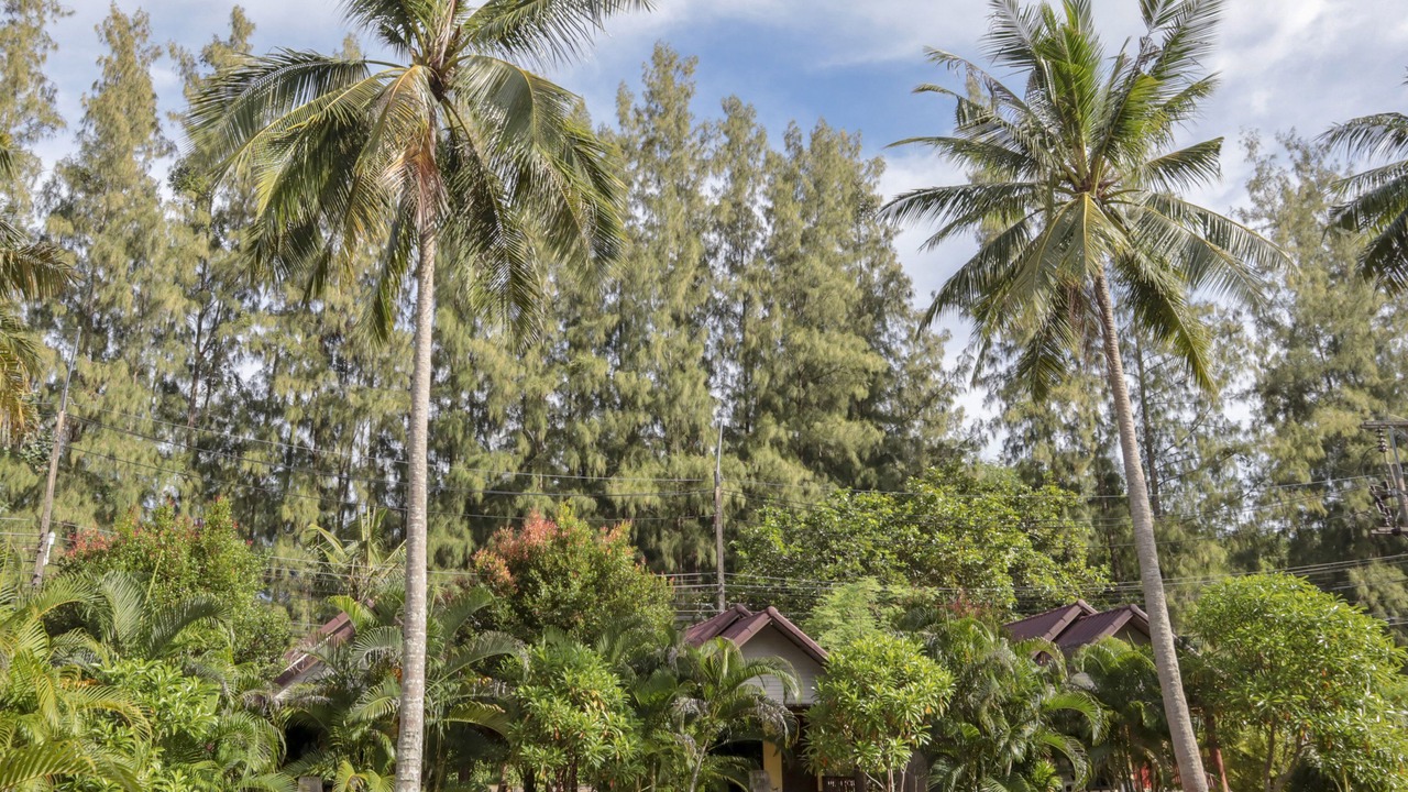 Photo of Others in Ko Yao
