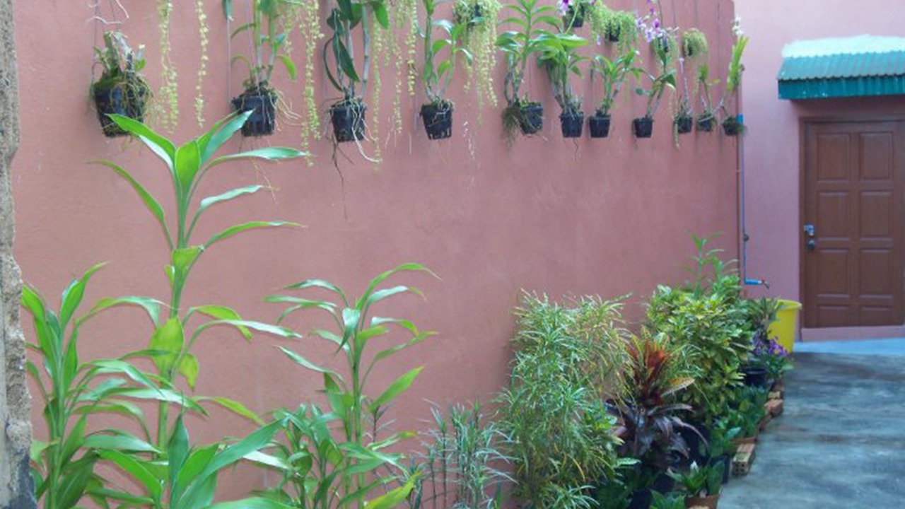 Photo of Outdoor in Old Phuket Town