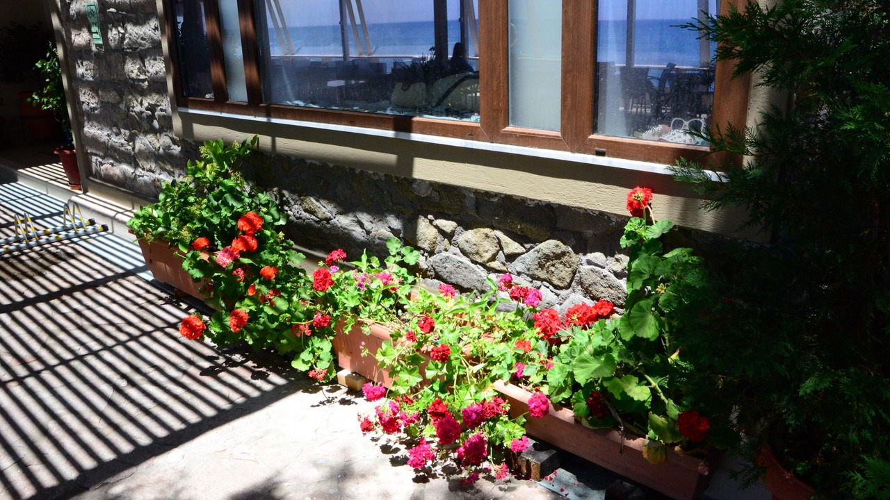 Photo of Outdoor in Skala Eresou
