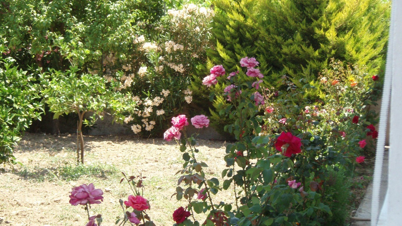 Photo of Outdoor in Agrilia