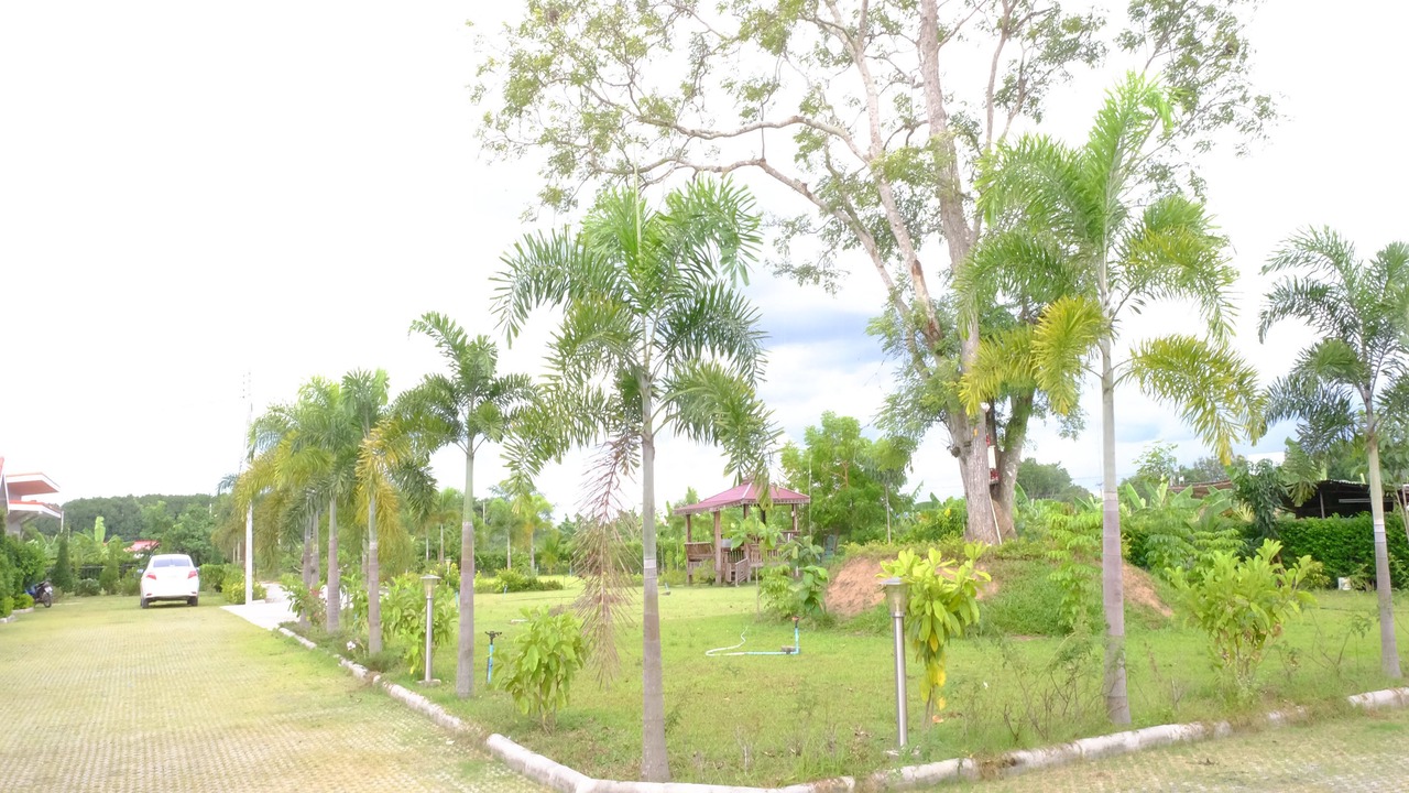 Photo of Others in Map Yang Phon