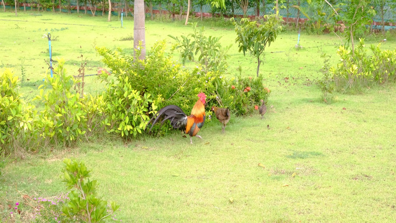 Photo of Outdoor in Map Yang Phon