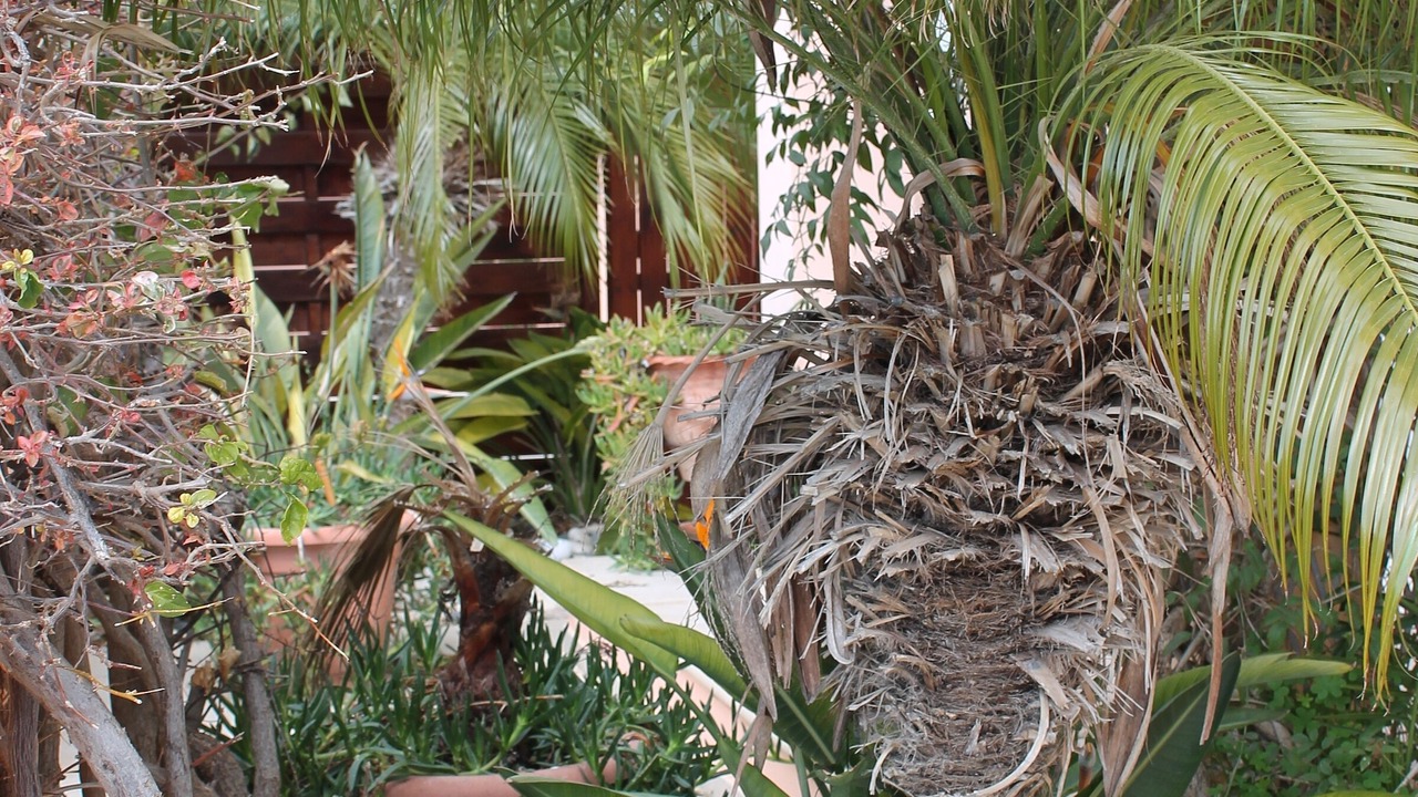 Photo of Outdoor in Mazotos