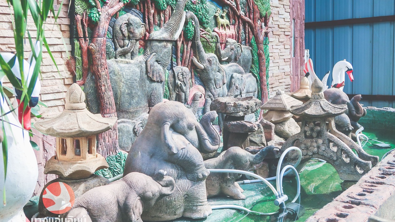 Photo of Others in Makham Tia