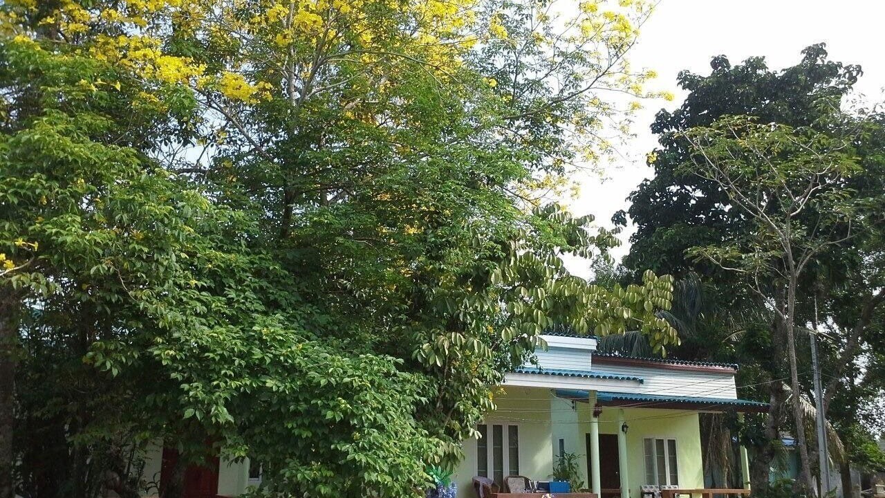 Photo of Outdoor in Mai Fat