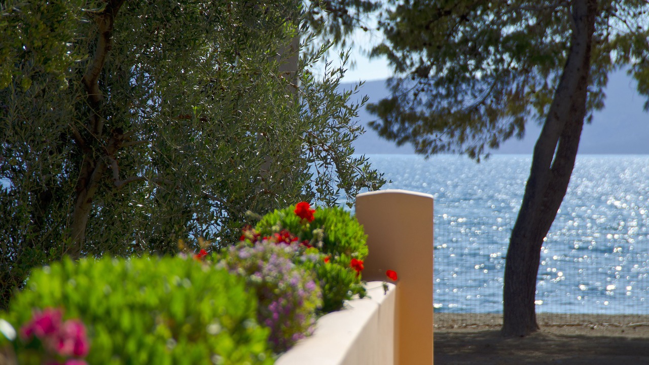 Photo of Outdoor in Plepi