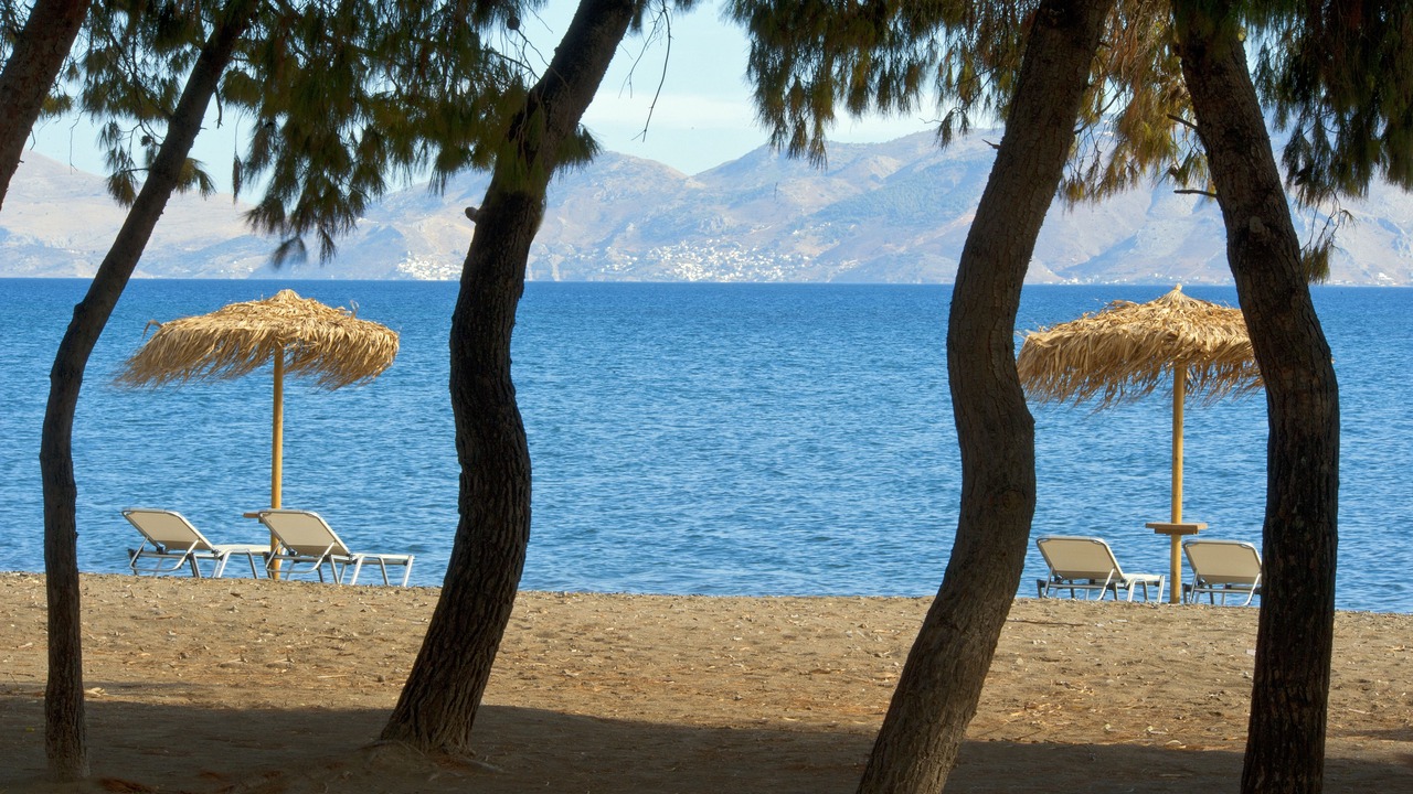Photo of Others in Plepi
