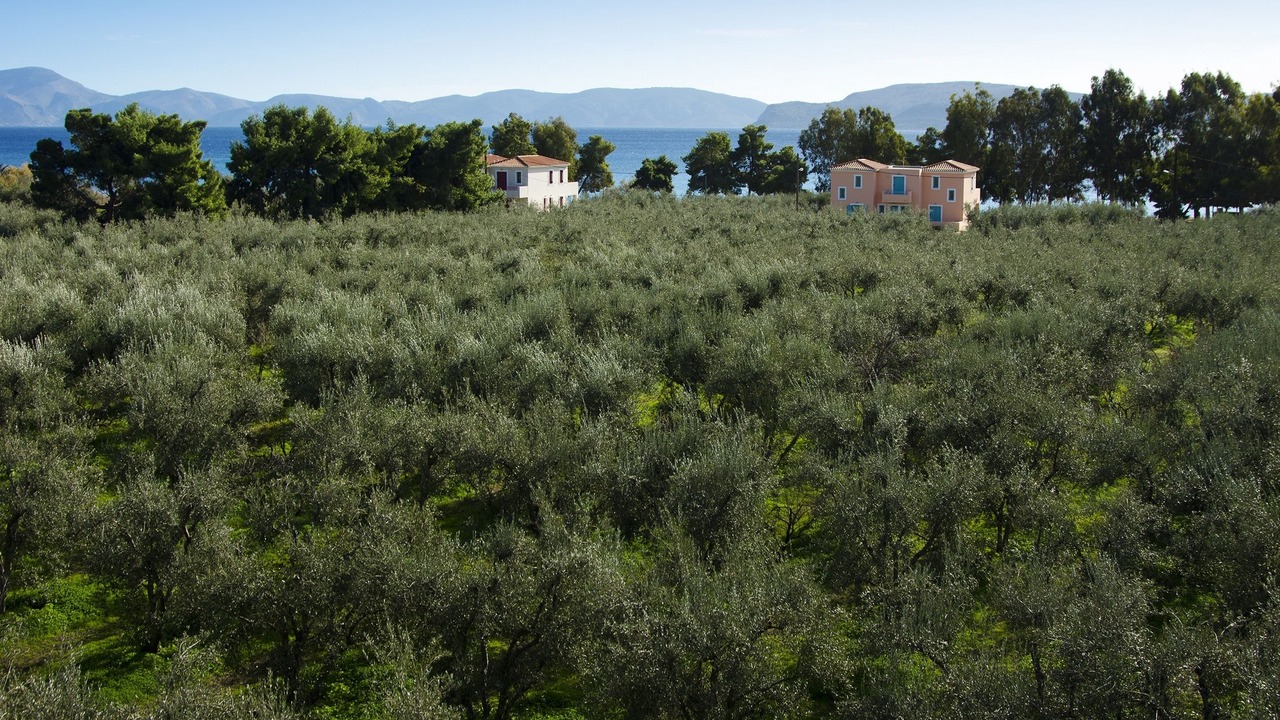 Photo of Outdoor in Plepi