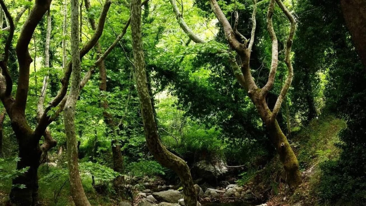 Photo of Outdoor in Steni