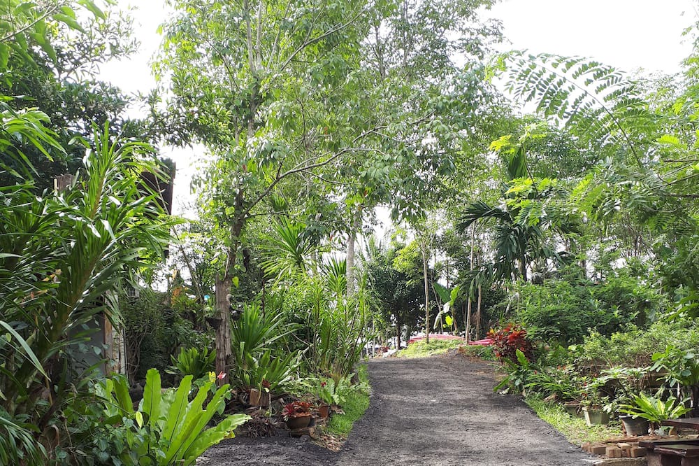 Photo of Outdoor in Pa Phayom