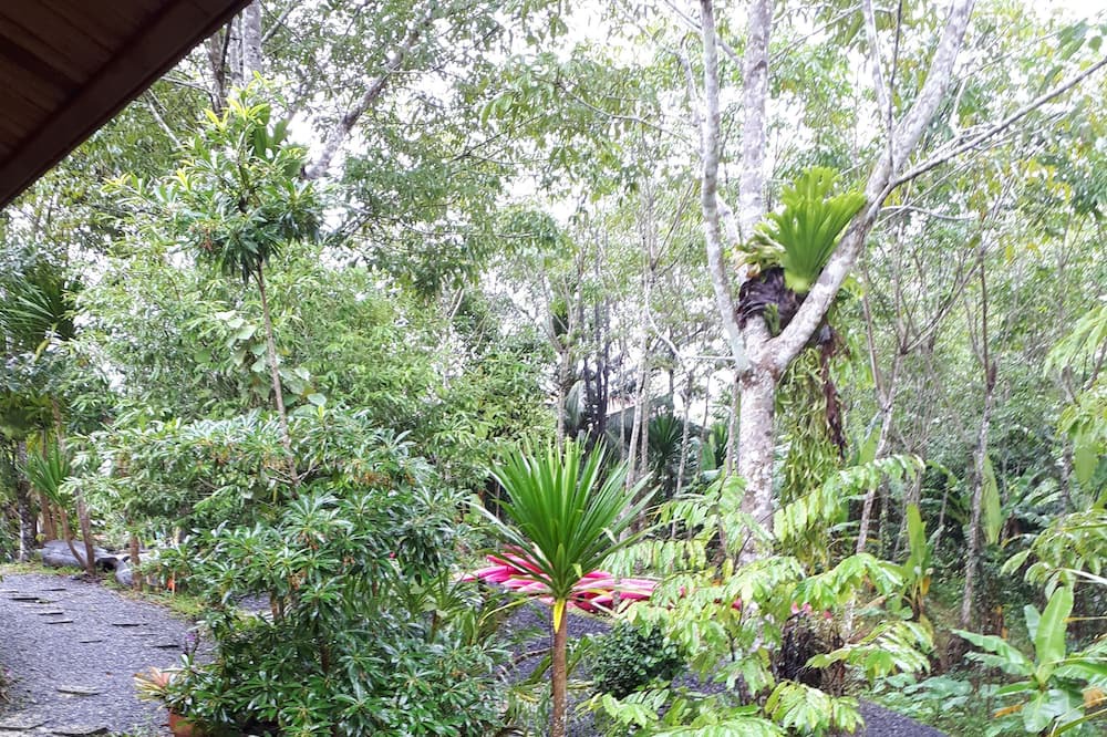 Photo of Outdoor in Pa Phayom