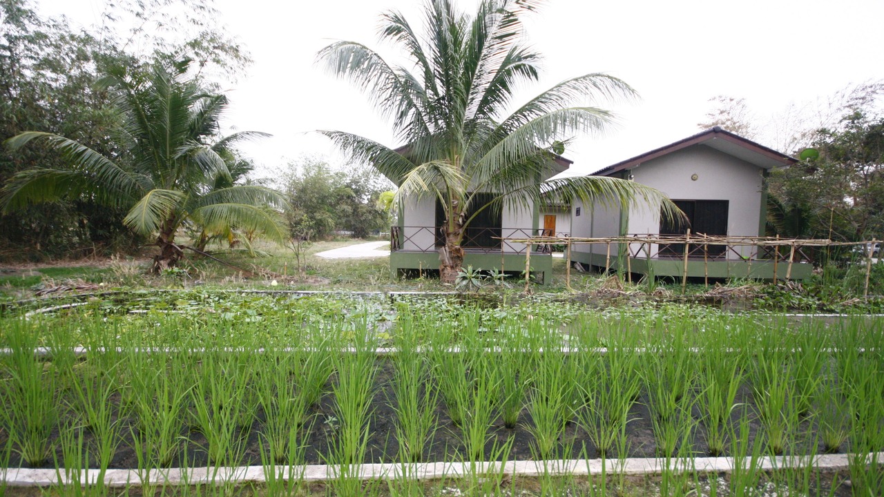 Photo of Outdoor in Si Racha