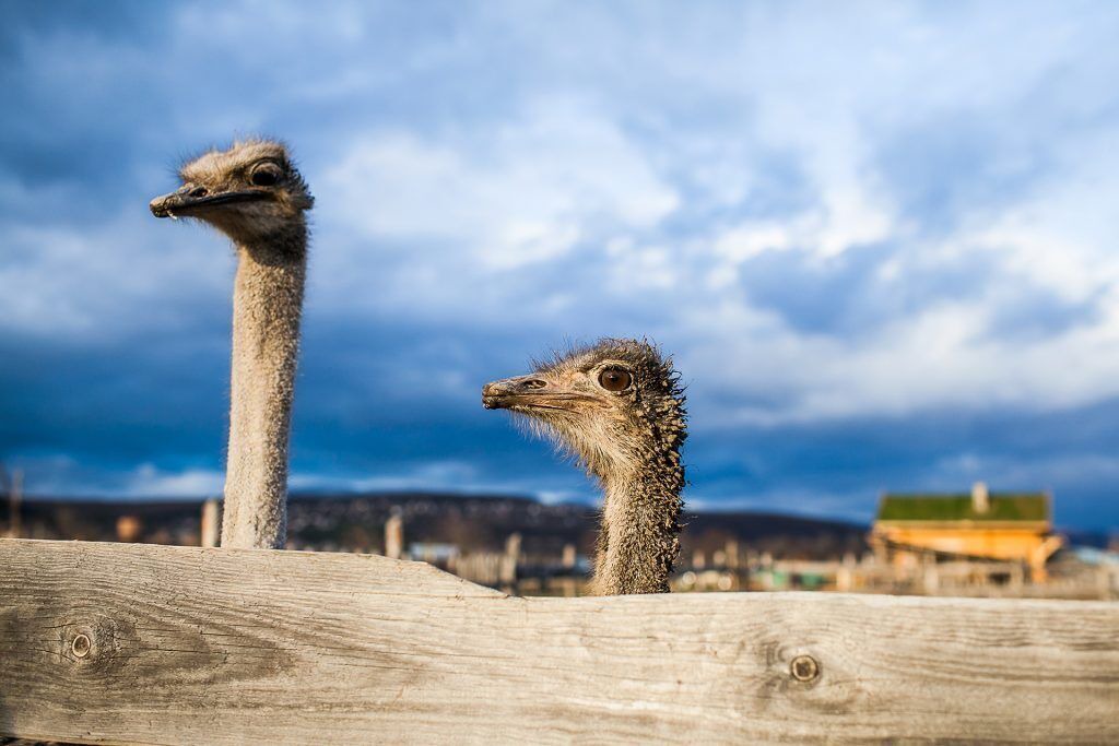 Photo of Outdoor in Chalcis