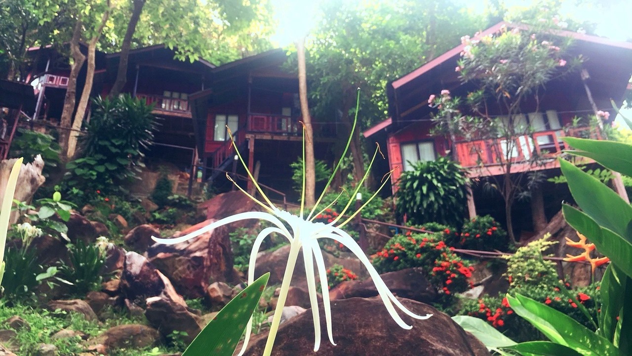 Photo of Outdoor in Ko Phi Phi