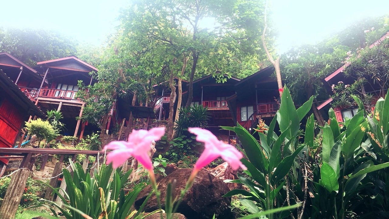 Photo of Others in Ko Phi Phi