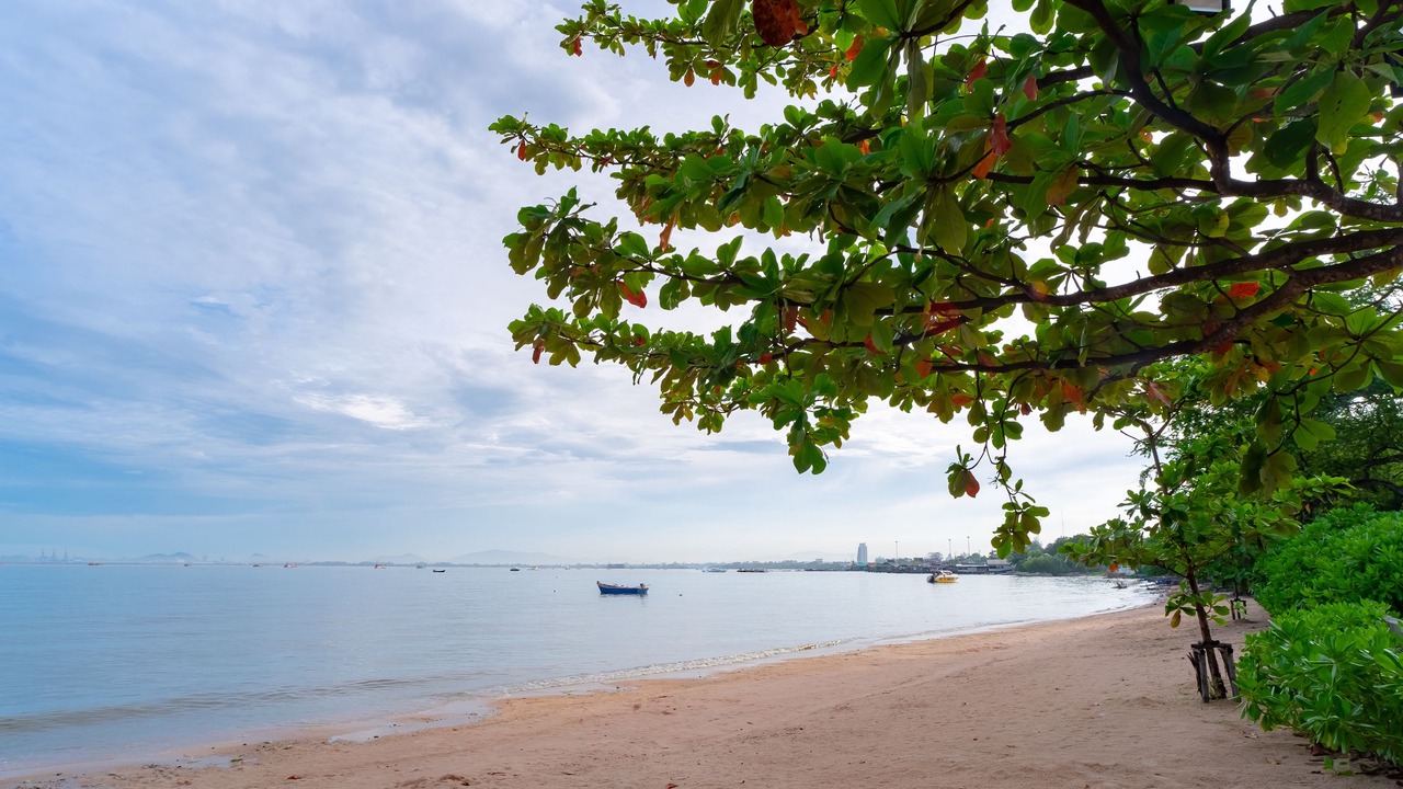 Photo of Others in North Pattaya