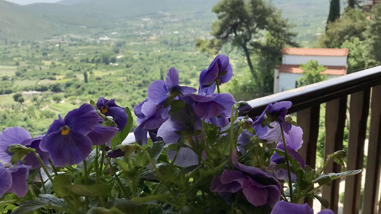 Photo of Bedroom in Edessa