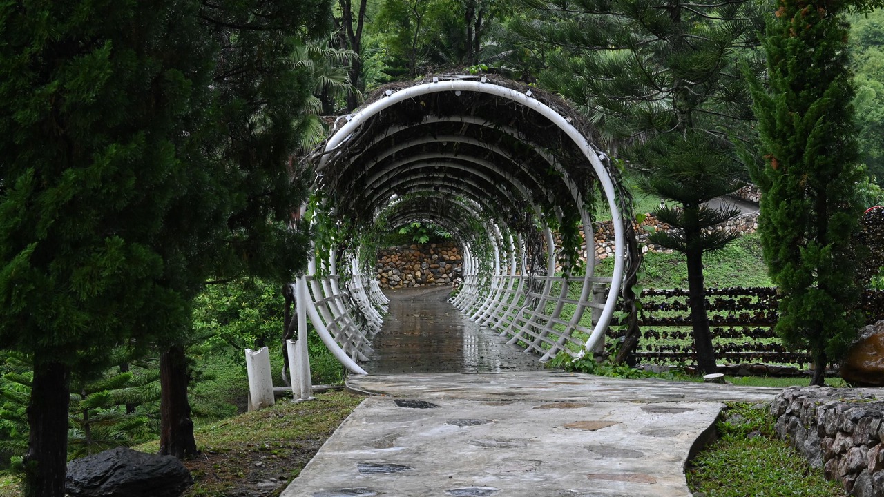 Photo of Outdoor in Suan Phueng