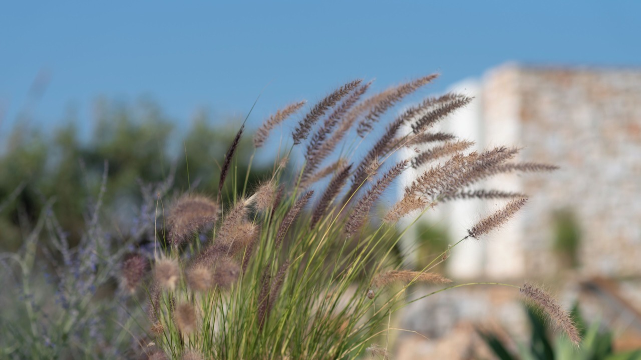 Photo of Outdoor in Naousa