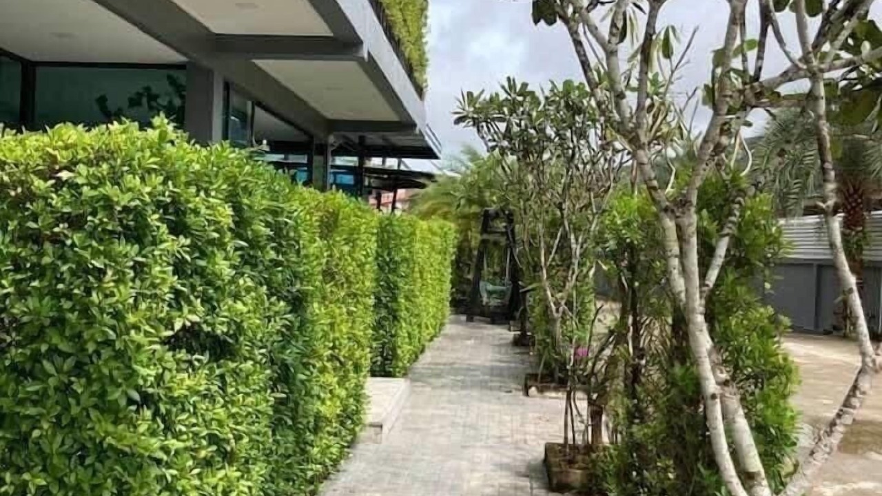 Photo of Outdoor in Ranong