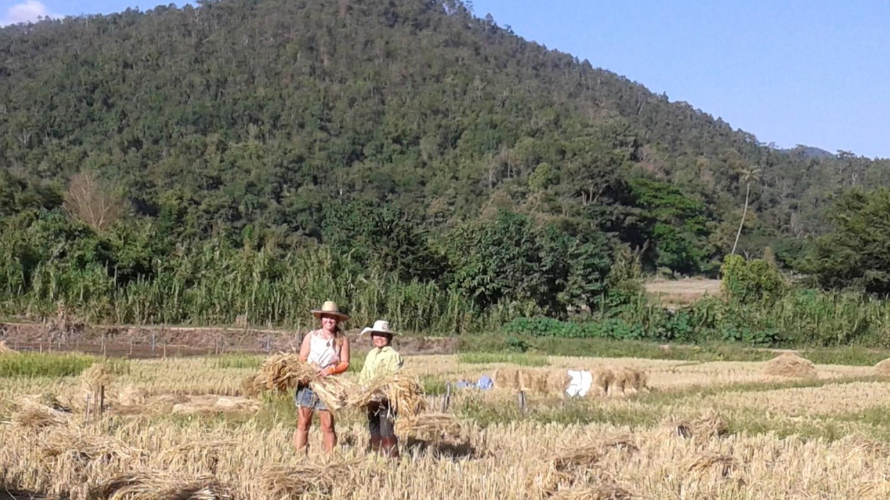 Photo of Outdoor in Samoeng