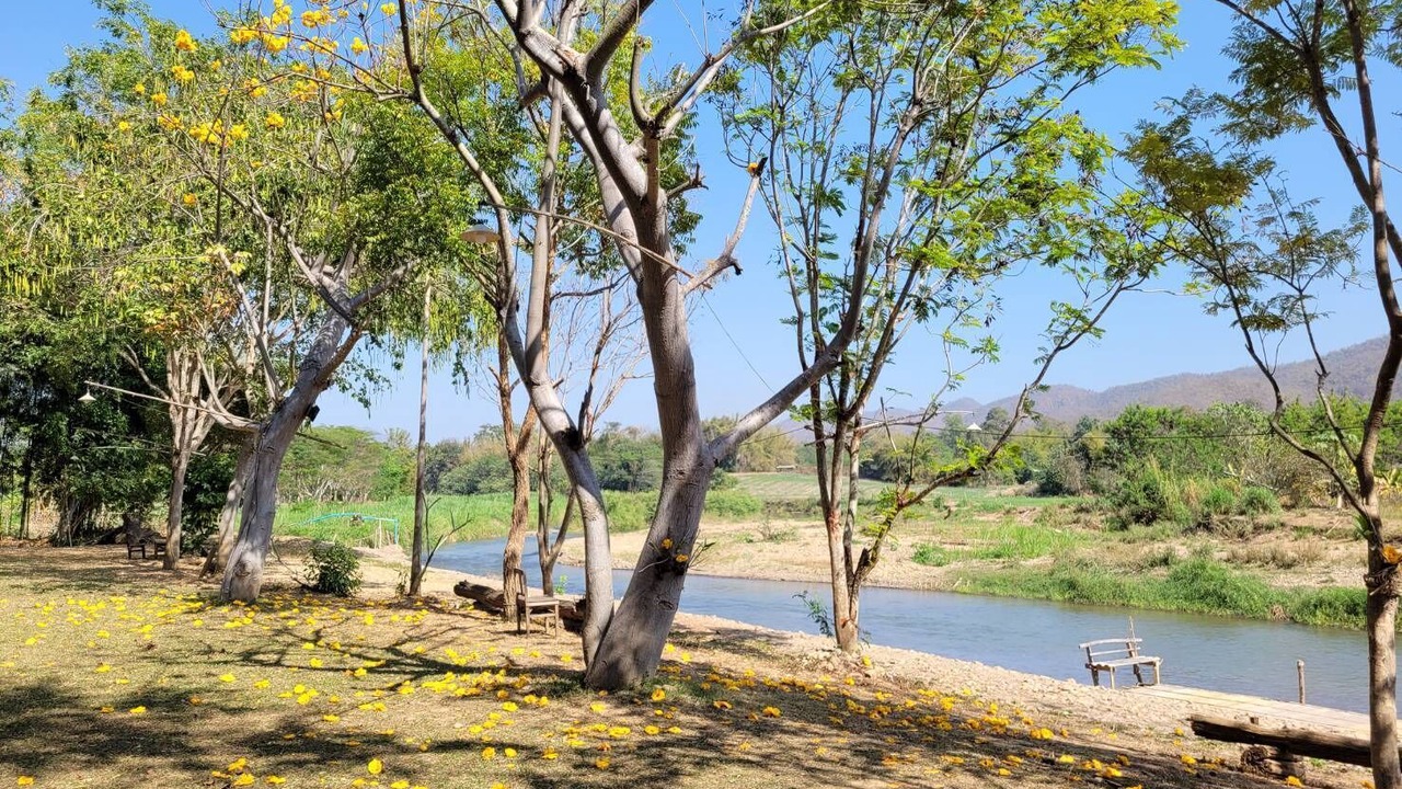 Photo of Others in Pai