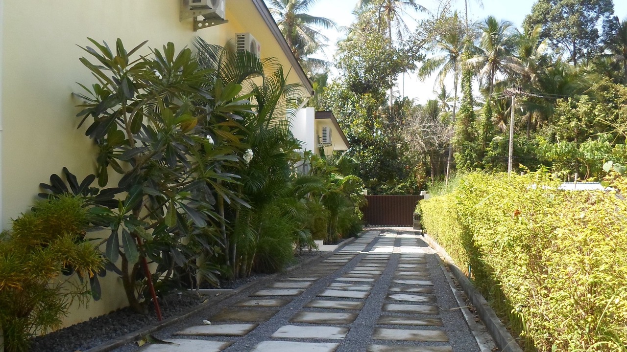 Photo of Outdoor in Lamai
