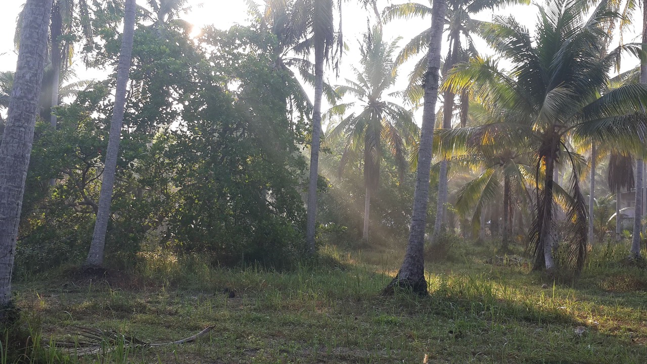 Photo of Others in Ko Kood