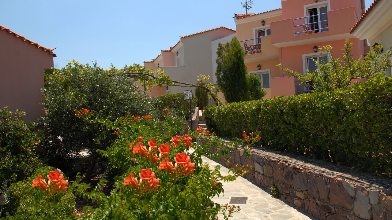 Photo of Outdoor in Mithimna
