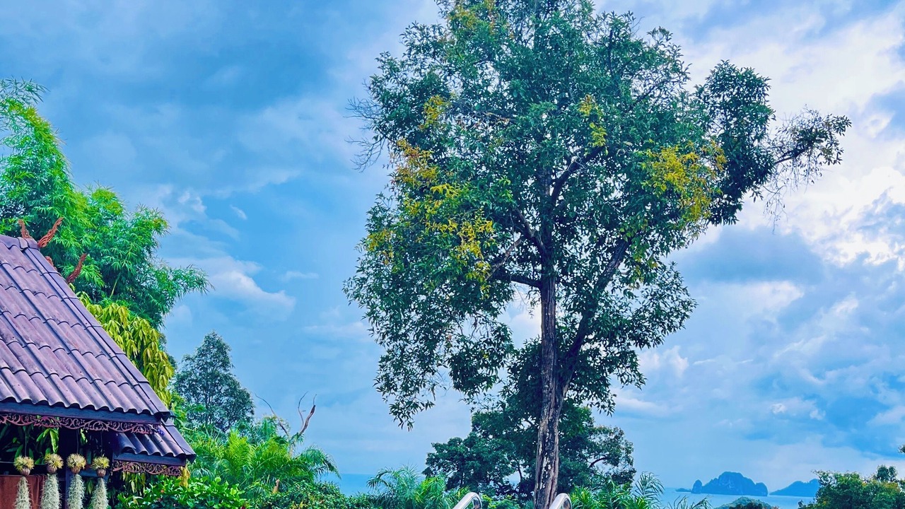 Photo of Outdoor in Nong Thale
