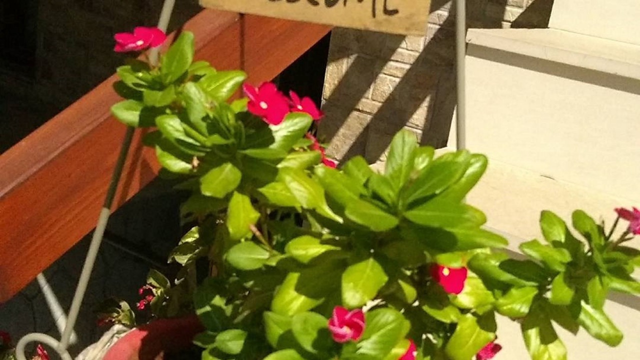 Photo of Outdoor in Ouranoupoli