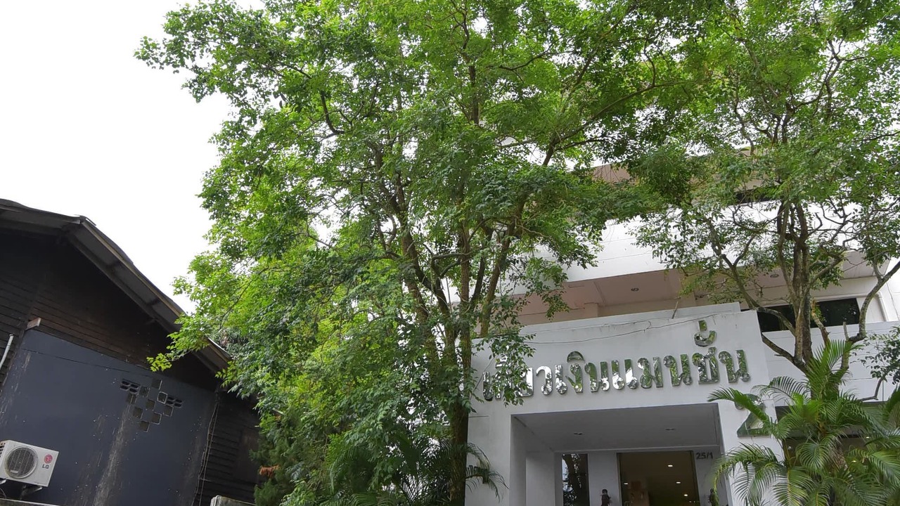 Photo of Others in Downtown Krabi